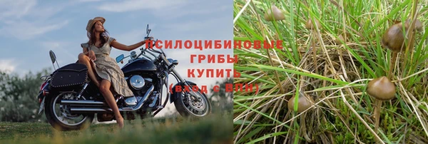 марихуана Беломорск