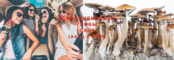 а пвп мука Балабаново