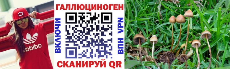 Псилоцибиновые грибы ЛСД  Вельск 